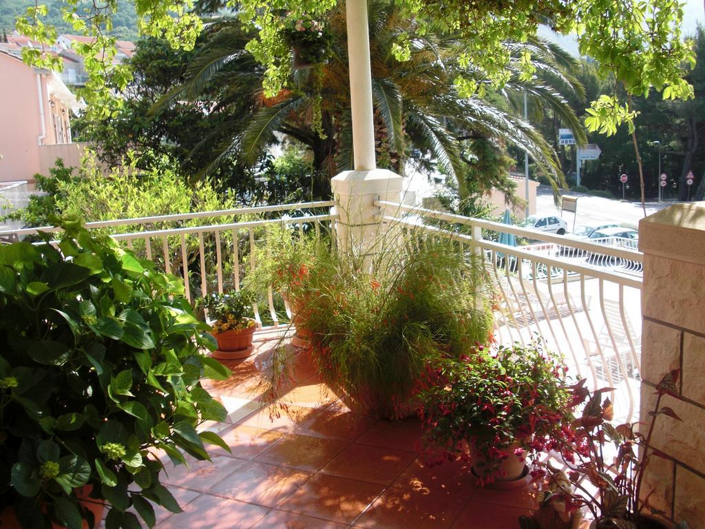 House Jelena Hotel Mlini Exterior photo