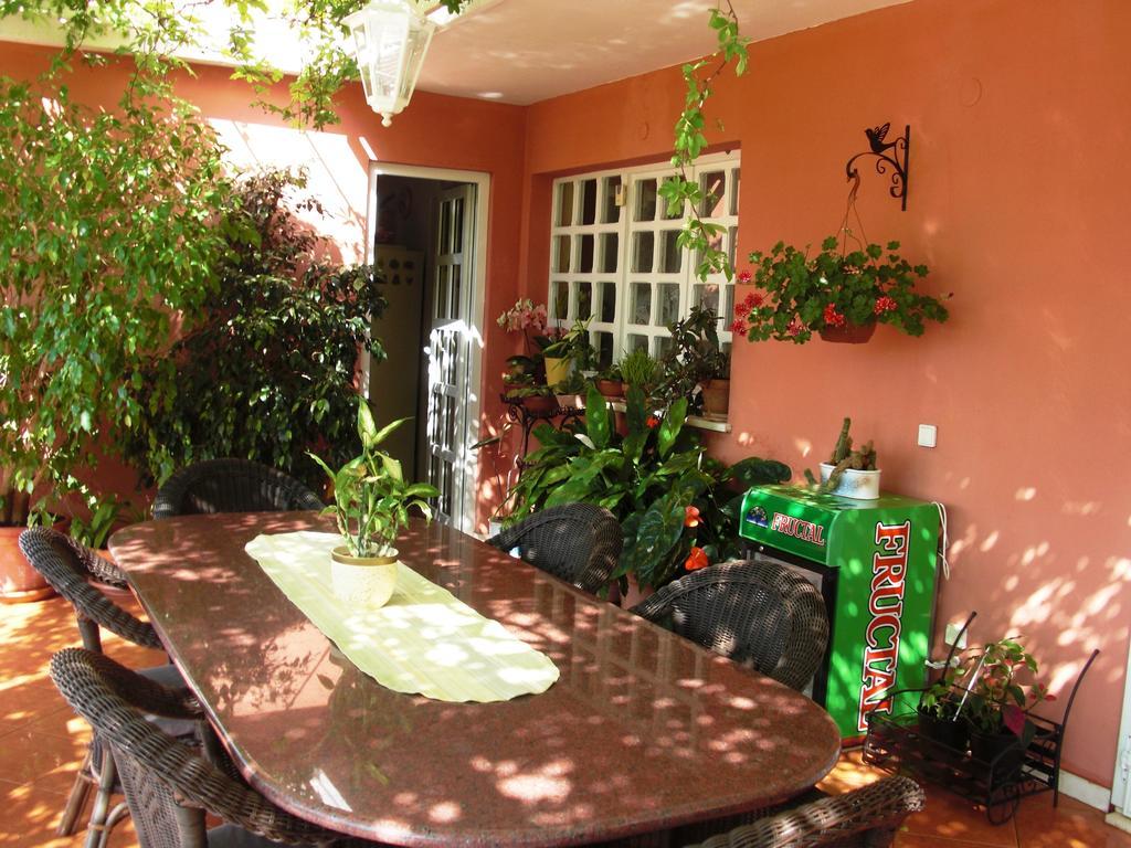 House Jelena Hotel Mlini Exterior photo